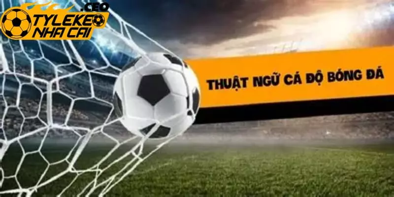 Áp dụng thuật ngữ cá độ bóng đá và mẹo hay