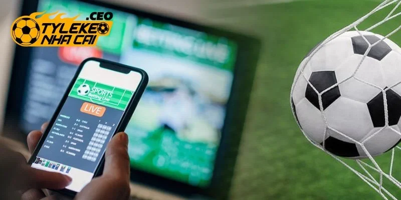 Bí quyết cược kèo chẵn lẻ siêu hiệu quả