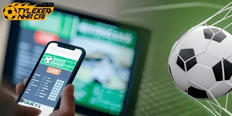 Cách tính thắng - thua của kèo tài xỉu 2 3/4