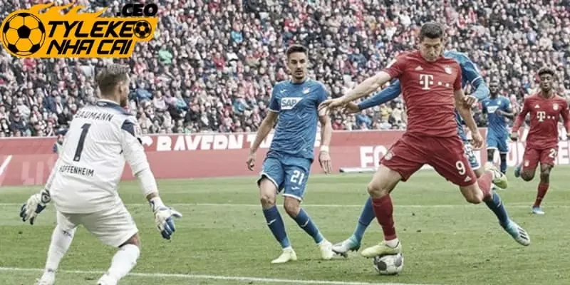 Chiến thuật tối ưu hóa tỷ lệ thắng kèo 3 cửa