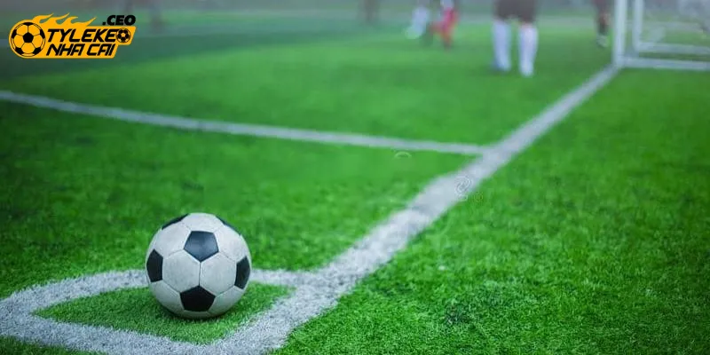 Chọn vào chơi tại nhà cái uy tín