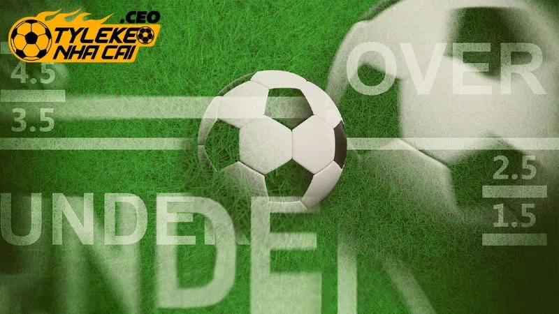 Đọc kèo tài xỉu (O/U) chuẩn xác cho tân binh