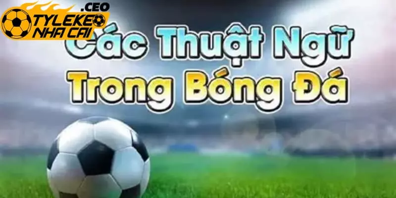 Hiểu rõ thuật ngữ cá độ bóng đá để nâng cao thắng lớn
