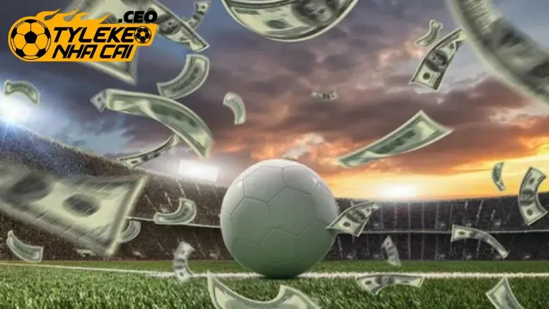 Học cách phân bổ và quản lý nguồn vốn hiệu quả