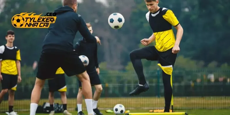 Thương hiệu số 1 thị trường tylekeonhacai