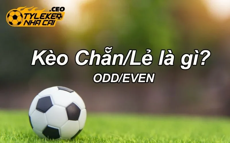 Khái niệm kèo chẵn lẻ (Even/Odd)