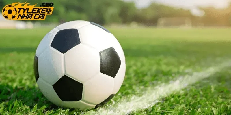 Không kiểm tra lịch sử đối đầu