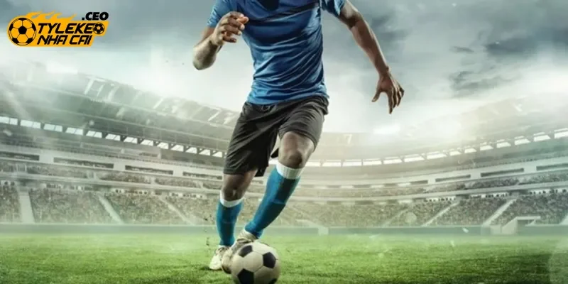 Thành tích đối đầu của hai đội