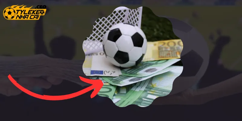 Theo dõi từng biến động kèo