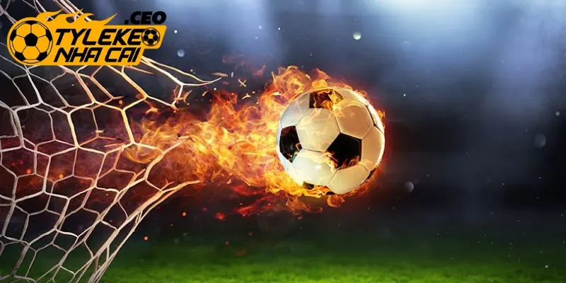 Tìm hiểu dữ liệu xoay quanh trận đấu muốn cược