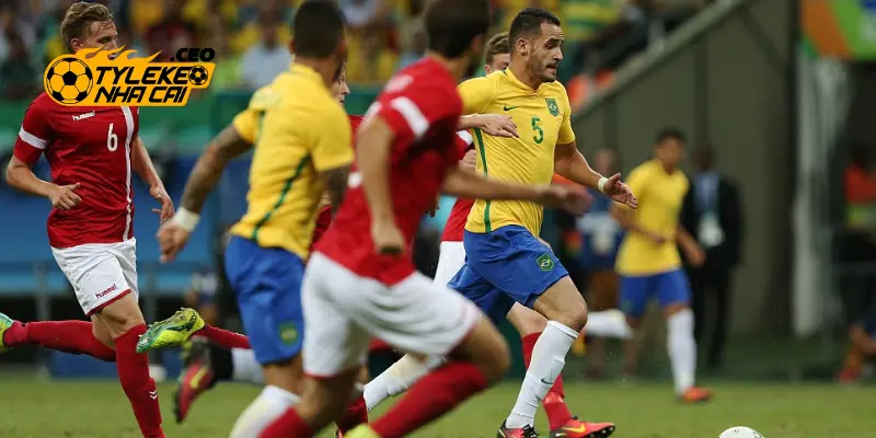 Chiến lược phát triển trong tương lai của tác giả