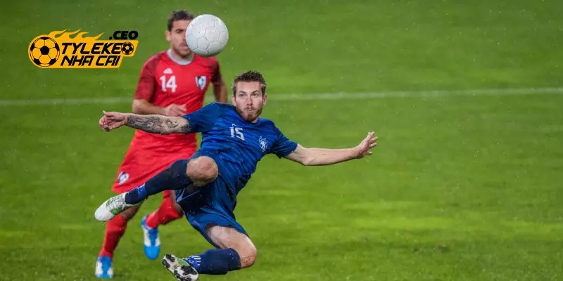 Hậu quả của hành động này là do bạn tự chịu trách nhiệm