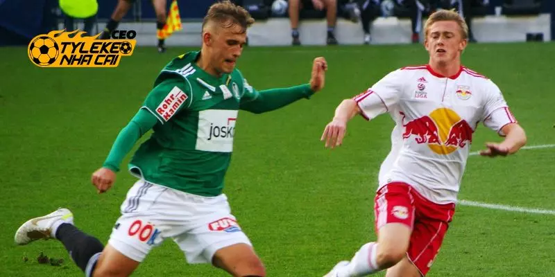 Theo dõi ngay những nội dung quan trọng miễn trừ trách nhiệm